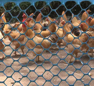 Naite Plastic Hexagonal Extruded Netting for Chicken