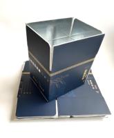 Boîte isotherme pharmaceutique écologique réutilisable étanche en PS avec design mat, laminage et gaufrage, portable