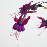 Fournisseur d'usine : Nouvelle branche de fleur de fuchsia artificielle, simulation de fleur de fuchsia suspendue en soie pour l'aménagement de fermes et de maisons, vente en gros
