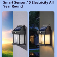 Lampe murale solaire extérieure à économie d'énergie, étanche IP65, petite lampe LED à intensité variable, lampe solaire de jardin pour cour et jardin