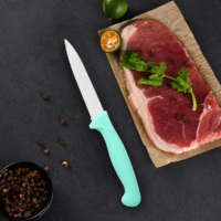 Ensemble de couteaux à steak ergonomiques en acier inoxydable 6 pièces pour chef avec couteaux à éplucher et utilitaires, manche en PP sûr, prise en main facile