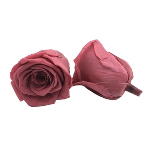 Vente en gros de roses éternelles naturelles de qualité supérieure, 70 couleurs, 4-5 5-6 cm, pour la fête des mères, la Saint-Valentin, la remise des diplômes, Noël - Product Image 2