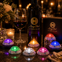 Longstargift – Éclairage LED personnalisé en ABS pour bouteilles, haute luminosité, pour l'activation de la marque de boissons