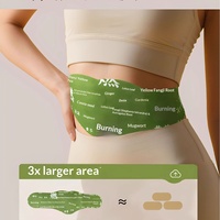 Parches Herbales Ranran Dazzling para Reducir el Abdomen, con Artemisia y Calor, Marca Aishang, en Caja (5 Parches)