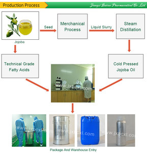 Vente en gros d'huile de jojoba en vrac pressée à froid pure et naturelle de qualité cosmétique et aromathérapie pour les soins du corps et des cheveux équilibre la production d'huile - Product Image 4