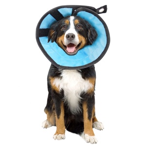 <span class=keywords><strong>Collar</strong></span> de gato y perro de estilo moderno de alta calidad, <span class=keywords><strong>Protector</strong></span> de cuello para mascotas de nailon Elizabeth con decoración de cintas sólidas - Product Image 1