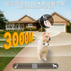 Collier de dressage électrique pour chien anti-aboiement, rechargeable, étanche, en plastique écologique, tendance, avec indice de protection IP67, taille L - Product Image 5