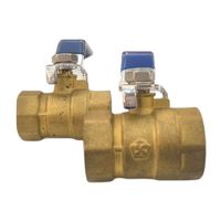 1/2 Inch Brass Ball Valve Strainer Manual Water Instrument OEM Customization Support -20~110 Temperature Range 3-Year