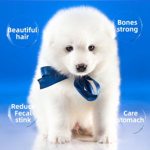 EASA קלאסי למעלה להתרבות חיוניות גבוהה אנרגיה גבוהה ביצועים באיכות גבוהה רוטב כלב מזון עבור puppy1.5kg - Product Image 6