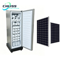 Congélateur solaire vertical 198L, machine à glaçons, 11 couches, congélateur DC, production de blocs de glace de 60 kg par jour pour usage domestique