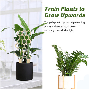 <span class=keywords><strong>Plantes</strong></span> en treillis <span class=keywords><strong>pour</strong></span> la maison, <span class=keywords><strong>Support</strong></span> d'escalade Vertical, Arrangement de fleurs, <span class=keywords><strong>Support</strong></span> de forme géométrique en <span class=keywords><strong>bois</strong></span> - Product Image 2