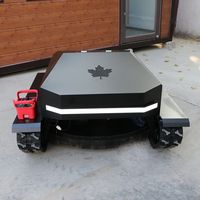Mesin Pemotong Rumput Crawler Self Propelled All Terrain dengan Lebar Pemotongan 550mm dan Ketinggian yang Dapat Disesuaikan 10-180mm