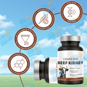 Capsule di Reni di Manzo Nutrito ad Erba, Formula Personalizzata OEM ODM, Etichetta Privata, Vendita all'Ingrosso, Integratore per il Supporto Renale e Immunitario - Product Image 6