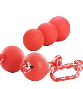 犬のおもちゃ耐久性のある固体弾性TPRペットボール噛む耐久性のあるボールとひも