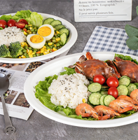 Assiette jetable en pulpe de bagasse de 10/12 pouces, ovale, robuste et résistante à la chaleur, naturelle/blanche, pour déjeuner, salade, collation, fruits