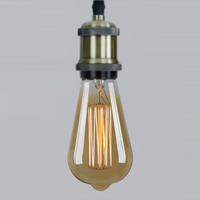 Ampoule à filament vintage rétro, ampoule Edison A19 BT53 C35 G80 G95 G125 ST58 ST64 T30 T45, ampoules à incandescence de style antique