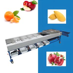 Máquina clasificadora de clasificación de frutas de último estilo, máquina clasificadora electrónica de frutas, máquina clasificadora de frutas secas - Product Image 3