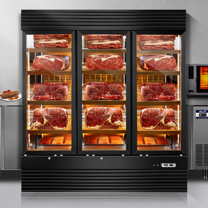 Armoire de maturation à froid pour viande de bœuf de style occidental, réfrigérateur de présentation professionnel pour la conservation des produits gastronomiques. - Product Image 1