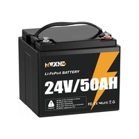 Batterie lithium-ion 12V 24V 50ah 100ah 200ah 300Ah Longue durée de vie Rechargeable Batterie LiFePO4 24V pour le stockage d'énergie solaire domestique