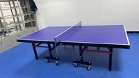 Table de ping-pong d'intérieur avec les roues se pliantes