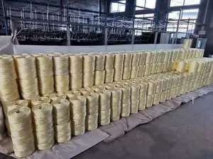 Bottom Price Split Film PP PE Plastic Raffia Rope Twine Production Line For Sale