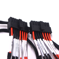 Arnés de Cableado Automotriz con Núcleo de Cobre Personalizado, Cable de Nylon/PVC/PTFE Multi-AWG para Sistemas de Control Electrónico de Vehículos