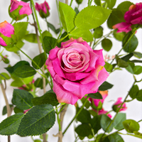 Fabrikverkauf: 180 cm große künstliche chinesische Rose, Kunstblumen, Topfpflanze für Heim- und Gartendekoration