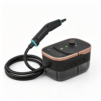 Nettoyeur vapeur portable haute pression multifonctionnel 1250-1600 ml avec 10 têtes de brosse pour le nettoyage en profondeur de la maison, de la voiture et de la cuisine