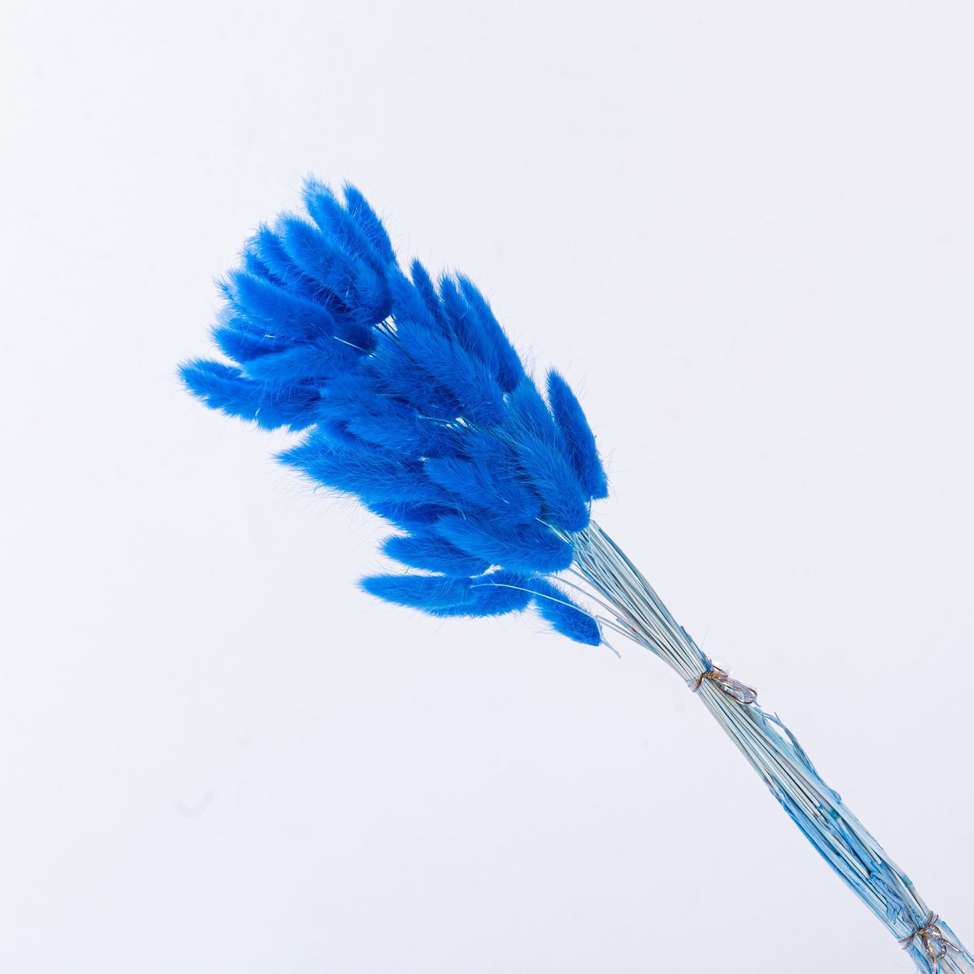 Bleu foncé