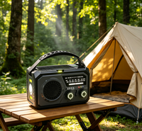 Radio solaire à manivelle 16000 mAh avec lampe de lecture, lampe torche LED, SOS, radio d'urgence AM/FM pour le camping et la randonnée