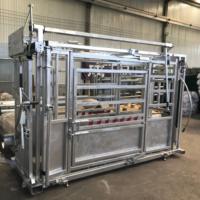 Équipement complet pour élevage : Étrier à bétail robuste en acier galvanisé avec goulotte de compression, panneaux de pesée et clôture grillagée.