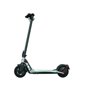 Cool Custom Ready Made H10 36V 300W 2 Wheel Adult Moped 3-Speed with pass word Folding Adults Commuting electric scooter