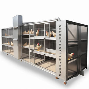 Cage de gril à batterie de poulet en forme de H en acier galvanisé entièrement automatique pour équipement de ferme avicole nouveau poulailler d'occasion - Product Image 6