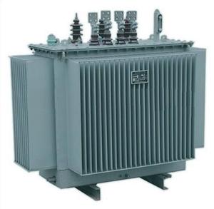 หม้อแปลงไฟฟ้าแบบจุ่มน้ำมัน 33kV 100kVA สามเฟส/หม้อแปลงไฟฟ้า 33kV 34.5kV 35kV รุ่น SafeHerm-100/35 100kva - Product Image 4