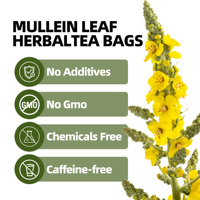 Sachets de tisane de feuilles de molène naturelles, sans caféine, à infuser à chaud ou à froid