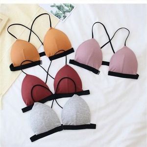 Sujetador Japonés Fino <span class=keywords><strong>sin</strong></span> Aro, Espalda Bonita <span class=keywords><strong>sin</strong></span> Costuras, Ropa Interior para Estudiantes, <span class=keywords><strong>Chicas</strong></span> con Poco <span class=keywords><strong>Pecho</strong></span>, Modal Cómodo - Product Image 4