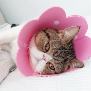 伊丽莎白锥猫手术后保护项圈防舔猫狗护颈 - Product Image 6