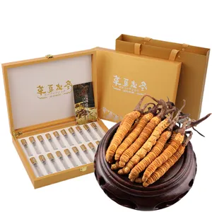 Extrait de Cordyceps militaris du Tibet Tianshi Cordyceps en poudre produit naturel Cordyceps sinensis - Product Image 1