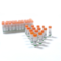 Anticorps monoclonal de souris anti-21-hydroxylase de stéroïdes truncatée
