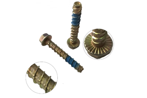 Bê tông Neo bu lông vít cho Bê tông với giá cả cạnh tranh Trung Quốc Fastener nhà sản xuất Neo bu lông - Product Image 3