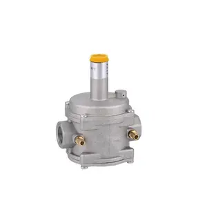Home use gas regulator lpg pressure valve with factory price 1 buyer Gas Pressure Regulator High Quality Chinese supplier