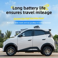 Vehículo Eléctrico de Cuatro Ruedas y Cuatro Puertas, Funciona con Batería, para Uso Doméstico, Tamaño Pequeño, No Requiere Licencia, para Adultos