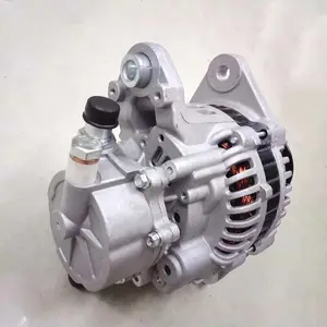 Factory Supplying 48V 24V 100A Alternator Generator 0124655007