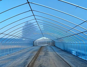 Walk-in Polytunnel Tunnel <span class=keywords><strong>Serre</strong></span> En Plein Air Plante Cultiver Tente <span class=keywords><strong>Serre</strong></span> <span class=keywords><strong>Serre</strong></span> Ronde Pignon Maison Jardin Chaleur Hangar - Product Image 3