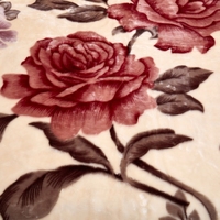Nouvelle couverture de canapé-lit épaisse à double couche, douce et moelleuse, 6 kg, chaude, luxueuse, en raschel, pour l'hiver, taille King