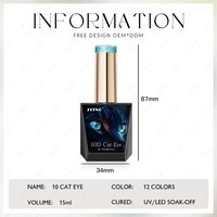 JTING 12 couleurs uniques, vernis gel effet œil de chat 10D, effet feu d'artifice scintillant, diamants magnétiques, ensemble de vernis gel œil de chat, OEM, étiquette privée