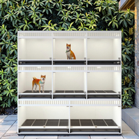 Chenil pour chien commercial extérieur, grande maison pour chien avec panneaux en bois, conçu pour une utilisation intensive et pour les entreprises d'hébergement pour chiens