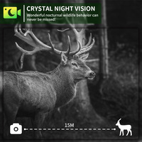 Caméra de chasse sur sentier de cerfs 4K étanche IP66 pour extérieur, 60MP, mini, sans fil, sécurité, CMOS, 4G LTE, vision nocturne infrarouge 1080p, SD