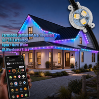 Lumières de Noël LED permanentes étanches IP68 de 30 mm, 12V 24V 36V UCS2904 RGBW Pixel Point Light, pour la décoration des fêtes, utilisables toute l'année