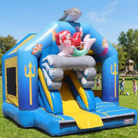 Château Gonflable Personnalisé Thème Dessin Animé pour Enfants et Famille, Aire de Jeux Extérieure avec Toboggan, Idéal pour Location Commerciale